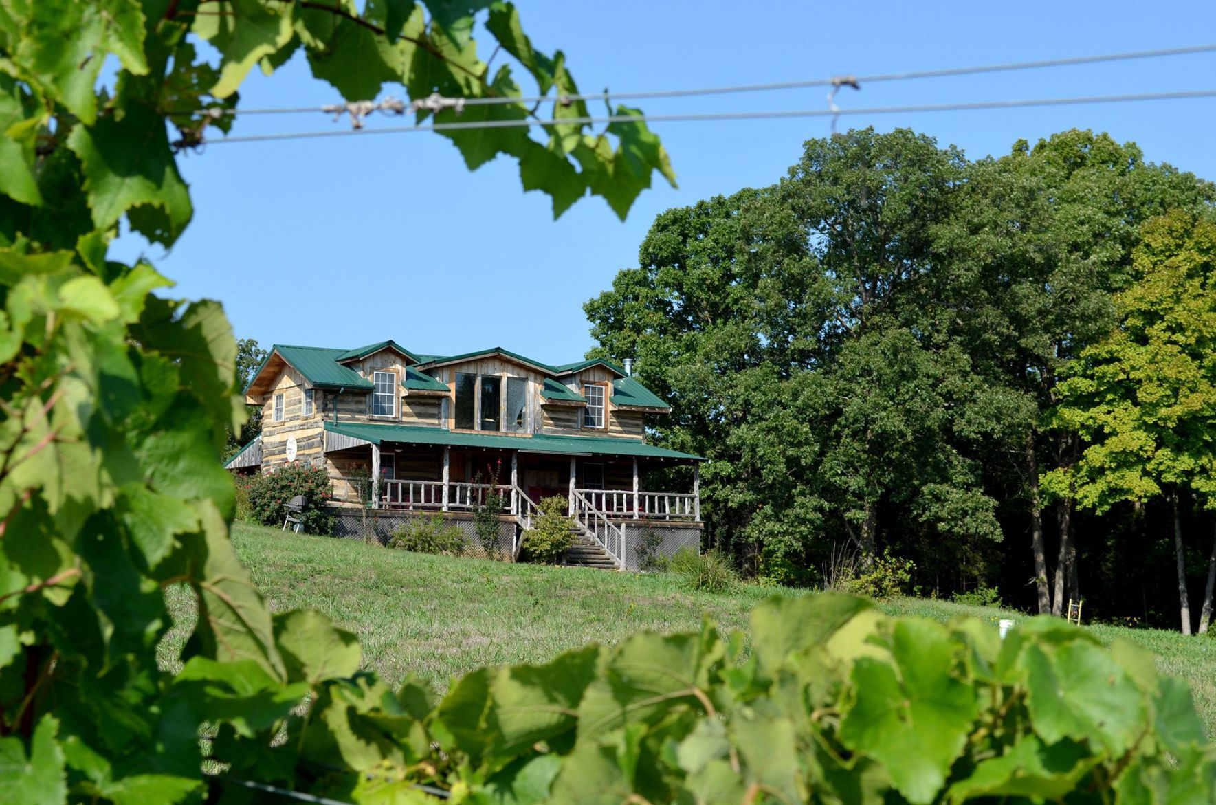 Charleville Vineyard